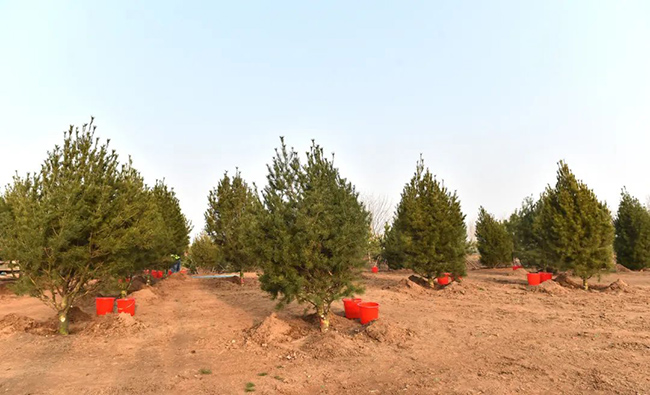 f1b2649c279c44d687b9ea90d7105fed_LOCAL202203132003000376732682891.jpg f1b2649c279c44d687b9ea90d7105fed_LOCAL202203132003000376732682891.jpg