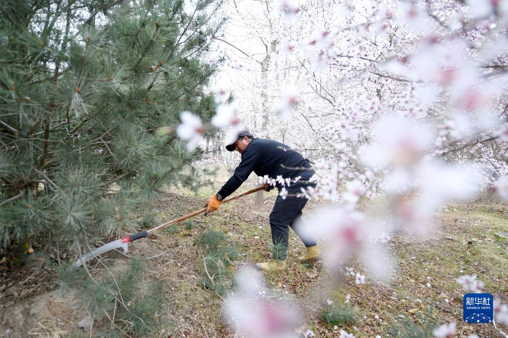 205664dc48c33bd9d7c00f951db94b2c_1128521733_16487340566011n.jpg 205664dc48c33bd9d7c00f951db94b2c_1128521733_16487340566011n.jpg