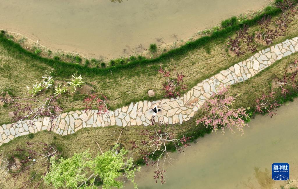 4d302c0ba4f8a8806d1384337cc69930_1211641131_16509552118401n.jpg 4d302c0ba4f8a8806d1384337cc69930_1211641131_16509552118401n.jpg