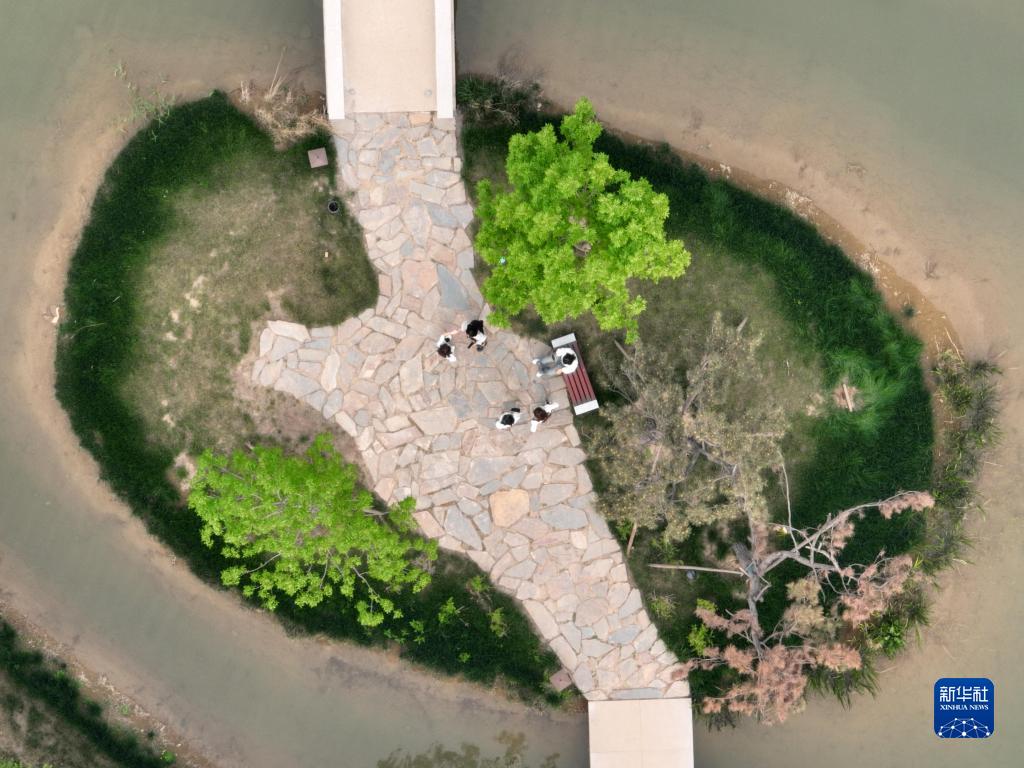 a06476396556b9f53f597a6b838e4ed5_1211641131_16509550341291n.jpg a06476396556b9f53f597a6b838e4ed5_1211641131_16509550341291n.jpg