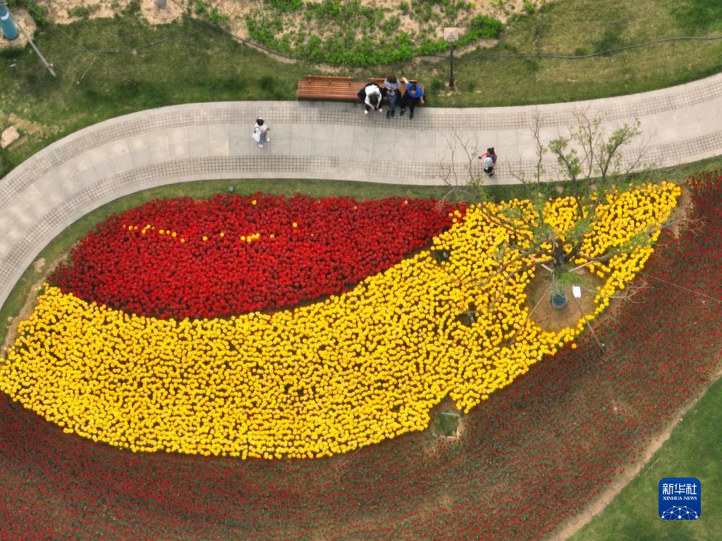 c4100231fa2da7999010508bbb06ca5a_1211641131_16509551668181n.jpg c4100231fa2da7999010508bbb06ca5a_1211641131_16509551668181n.jpg