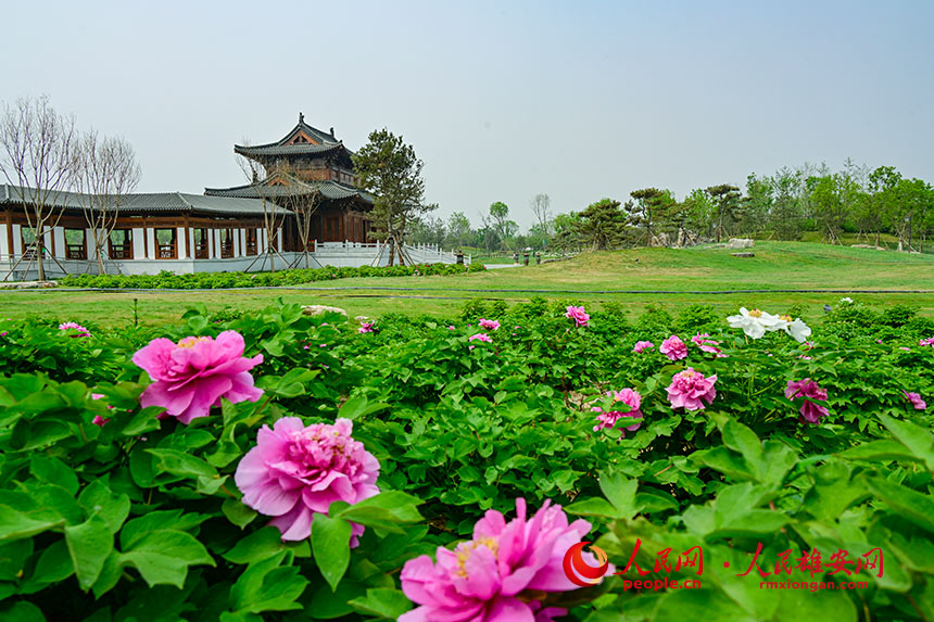 b11d020c036ff726d750ef57aa89b4e2_LOCAL202204281514000449032160053.jpg b11d020c036ff726d750ef57aa89b4e2_LOCAL202204281514000449032160053.jpg