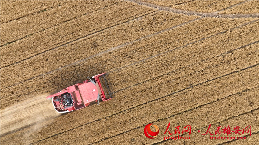 28b2b0cd810f9feea50b5f2565efd3f5_LOCAL1655861055262DPL32378YK.jpg 28b2b0cd810f9feea50b5f2565efd3f5_LOCAL1655861055262DPL32378YK.jpg