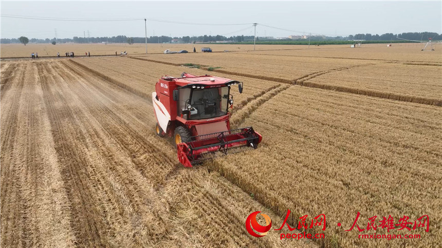 a19c333d74196ceb79ff8e8515667bdc_LOCAL1655861077995P5GO6J48V9.jpg a19c333d74196ceb79ff8e8515667bdc_LOCAL1655861077995P5GO6J48V9.jpg