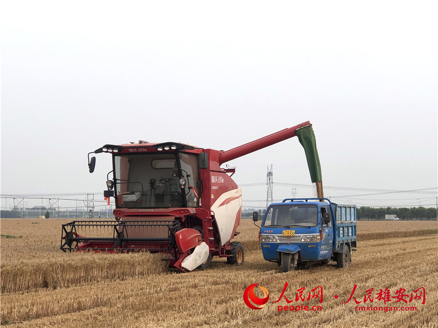 a03a069b0af5d8584bf879ad05f69eb3_LOCAL1655861067595ZQHHTE7ZEM.jpg a03a069b0af5d8584bf879ad05f69eb3_LOCAL1655861067595ZQHHTE7ZEM.jpg