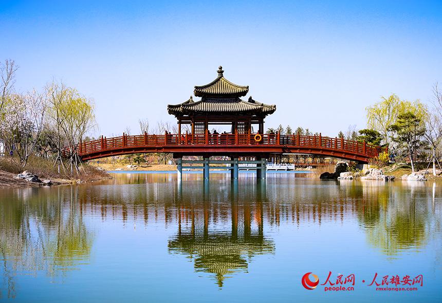 雄安悅?cè)莨珗@一角，微風吹動水面，泛起陣陣漣漪。人民網(wǎng)宋燁文攝