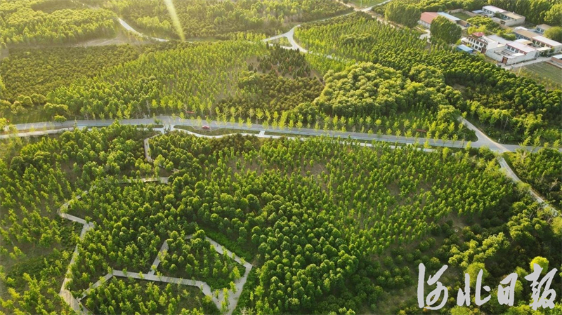 d5309f0e8951da2c0cf21640fee9abd6_1212365579_17166005984971n.jpg d5309f0e8951da2c0cf21640fee9abd6_1212365579_17166005984971n.jpg