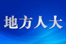 中國特色備案審查學(xué)科與教學(xué)建設(shè)暨《備案審查教程》出版研討會(huì)在重慶召開