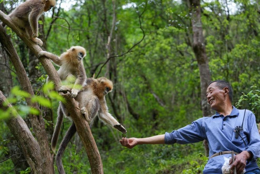 首次立法！國家公園筑起“法治屏障”